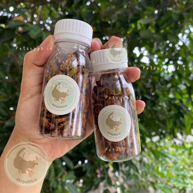 Dried silkworm pupae in bottle 60ml | ulat sutra kering | makanan cemilan snacks hamster sugar glider landak mini ikan koi burung.