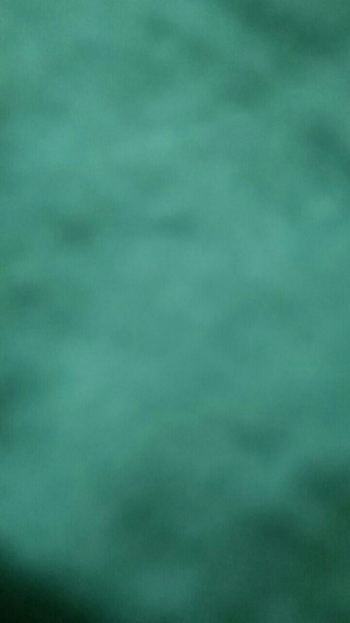 Payung Transparan 627