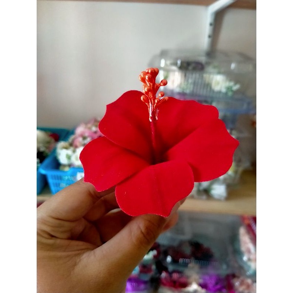 bunga pucuk merah