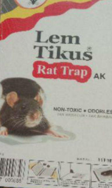 Lem Tikus Fox Dijamin Super Lengket!!