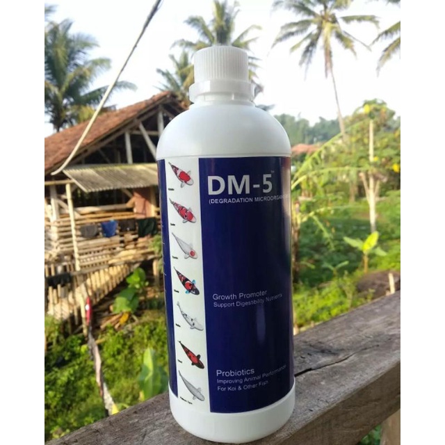 [PROMO] PROBIOTIK DM-5 PERIKANAN
