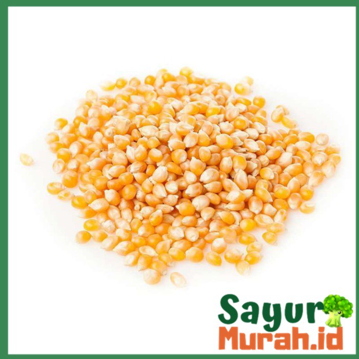 

Jagung Popcorn Kering