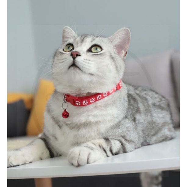 JT - Kalung Kucing Lonceng Hewan Peliharaan Tali Leher Anjing Kecil Lonceng Pet Collar Dog Kitten Adjustable Motif Tapak Kaki Murah IMP