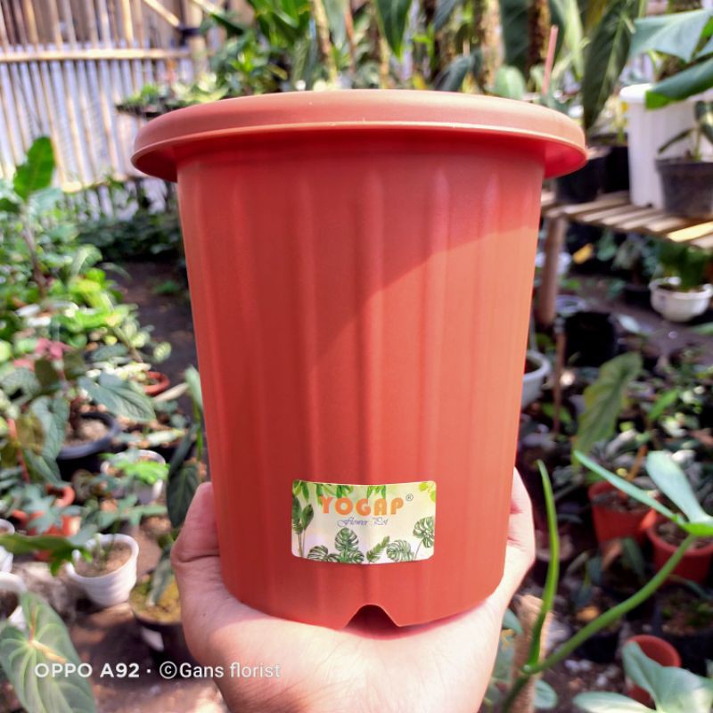 pot yogap merah bata ukuran 13