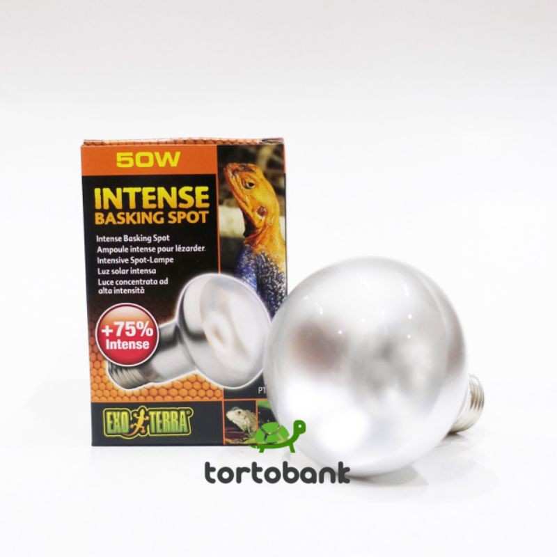 LAMPU UVA EXOTERRA INTENSE BASKING SPOT 50W - LAMPU REPTIL - LAMPU KURA DARAT - LAMPU TORTOISE - LAM