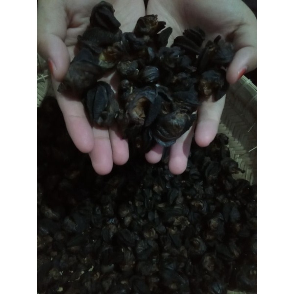 

krecek bekicot /krecek murah/gaeyo food