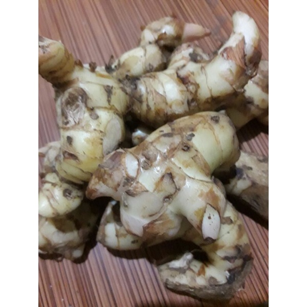 

lengkuas/bumbu dapur 250gram