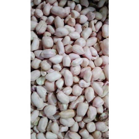 

kacang lokal dan import