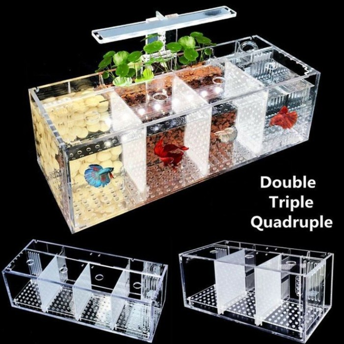 Soliter Akrilik / Soliter Cupang / 5 kamar 60 x 15 x 25/ chamber Filt