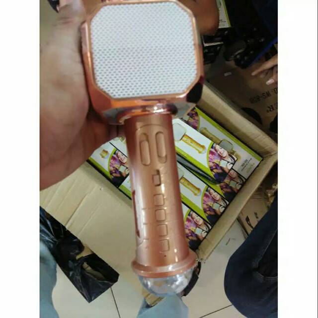 Promo Mic karaoke bluetooth Fleco SD-10L tipe terbagus mic karaoke ( FREE BONUS )