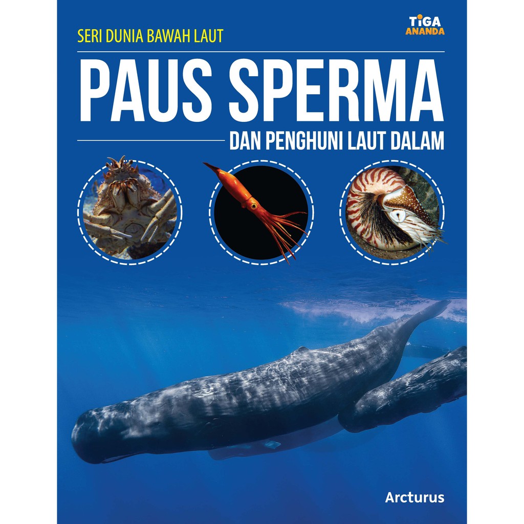 Seri Dunia Bawah Laut: Paus Sperma dan Penghuni Laut Dalam