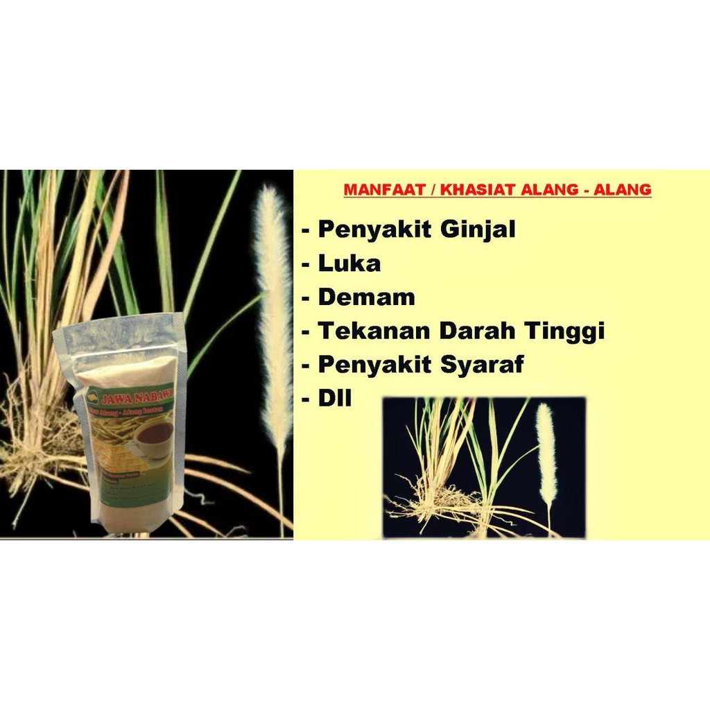 

Alang-alang instan