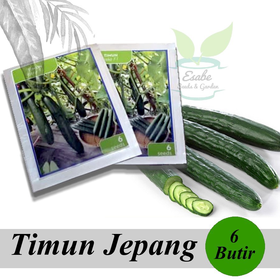 Benih Biji Timun Jepang Toska F1 Repack