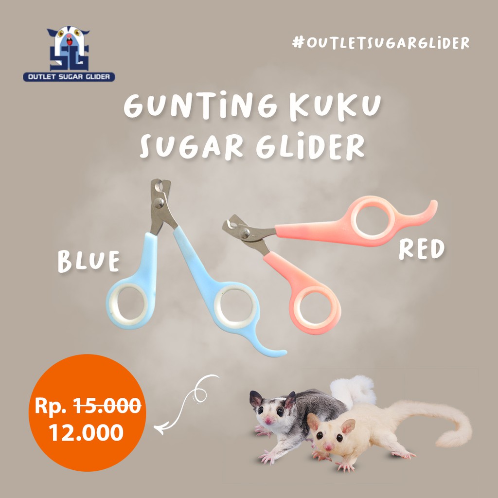 GUNTING KUKU HEWAN NAIL CLIPPER SUGAR GLIDER / KUCING / RAPTAIL