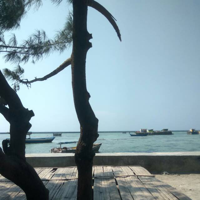 irfaniibrahim