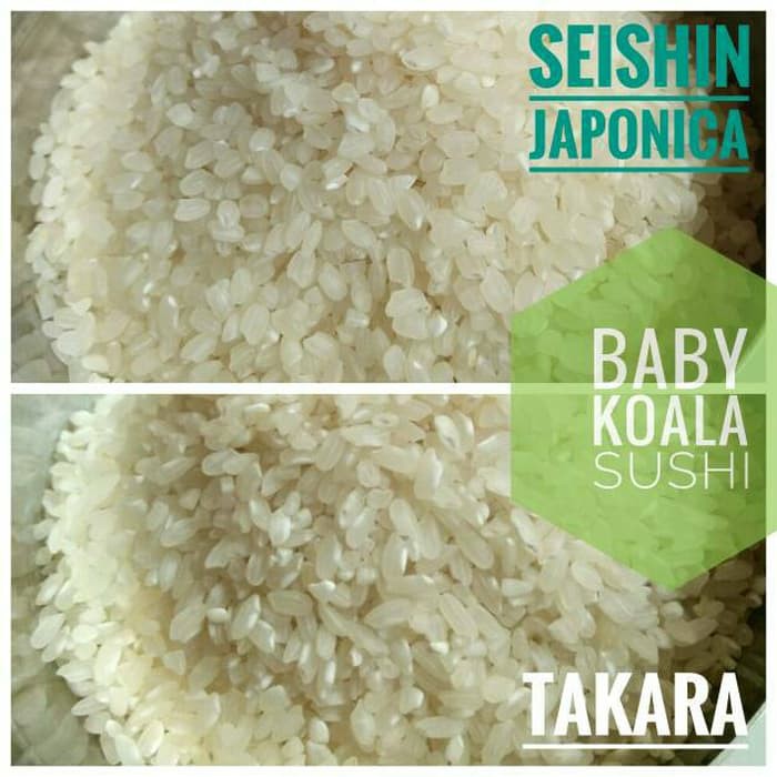 

Beras Sushi Good Quality | Seishin Japonica Rice Kualitas Bagus Bento