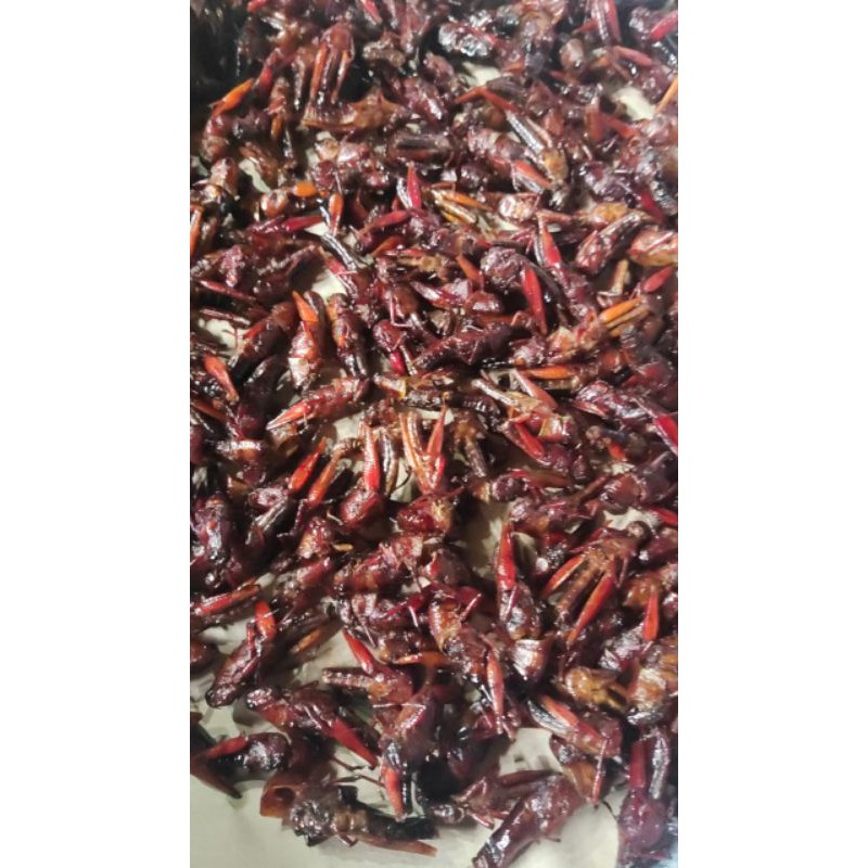 

Belalang Goreng Alas purwo Mak ijah varian original