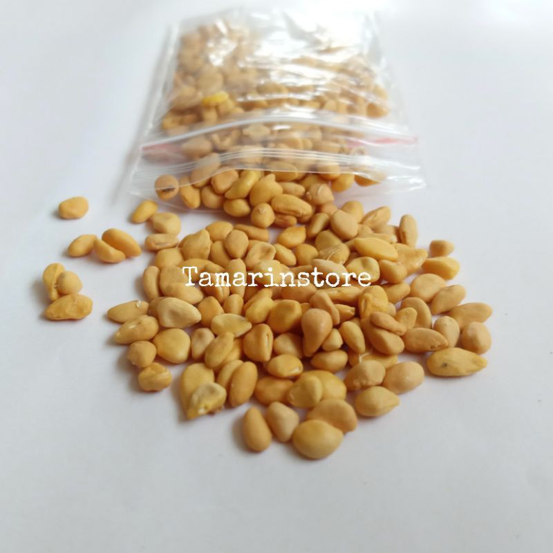 Biji kawista batu / kawista kerikil 400 biji siap semai