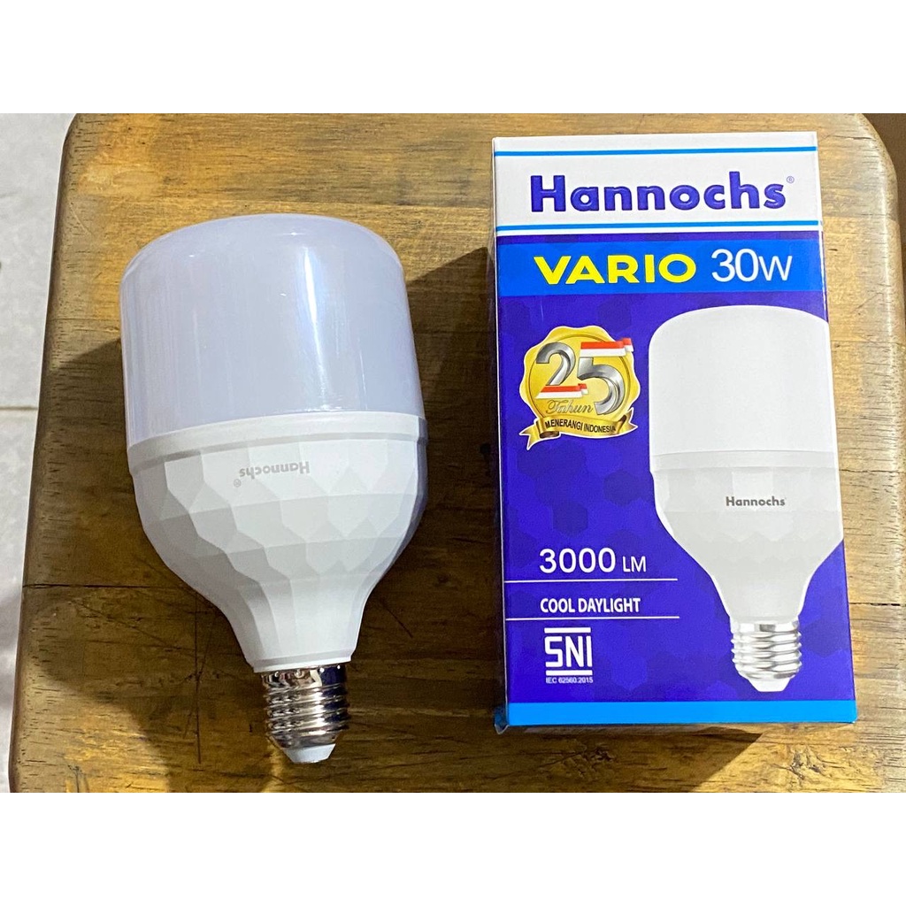 LAMPU LED KAPSUL VARIO HANNOCHS 30watt