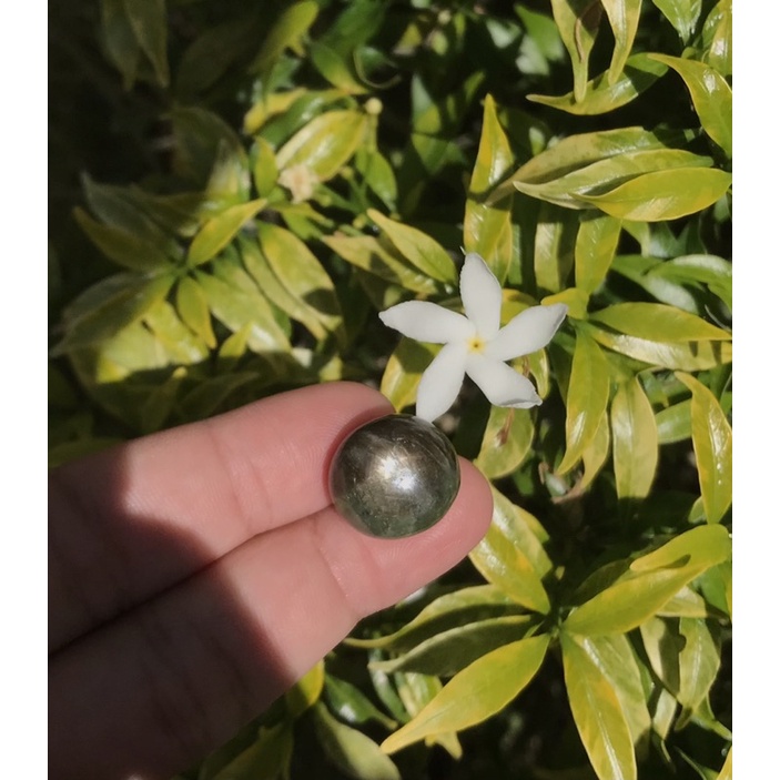 natural black sapphire star cabochon africa / afrika  34.75 carat ts