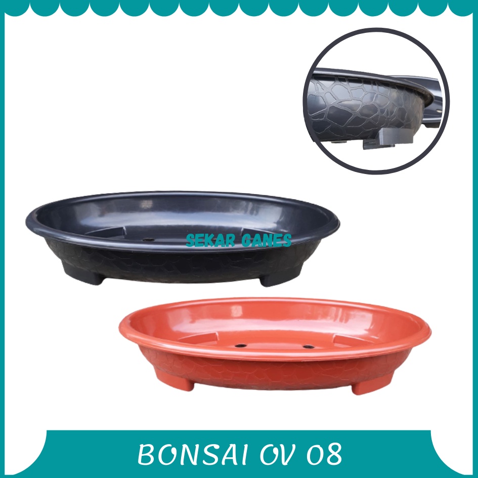 Pot Bonsai Oval Ov 08 Putih Hitam Merah Bata Coklat Pot Bunga Plastik Bonsai Motif Batu Alam Ceper Pendek Pot Bonsai Plastik Bonsai Mame Kelapa Besar Mini