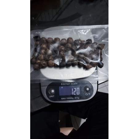 

BAWANG HITAM LAKI
