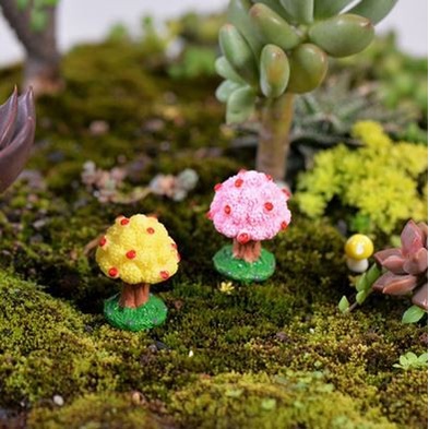 Miniatures - Terrariums - Aple Tree (1pc)