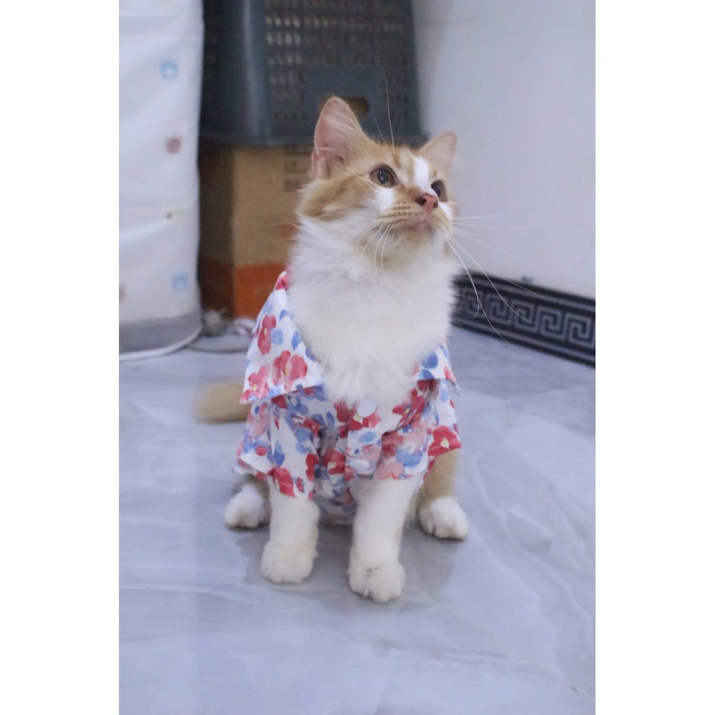 [Bahan adem] baju pantai warna toska lucu untuk kucing dan anjing / baju kucing murah size S M L XL