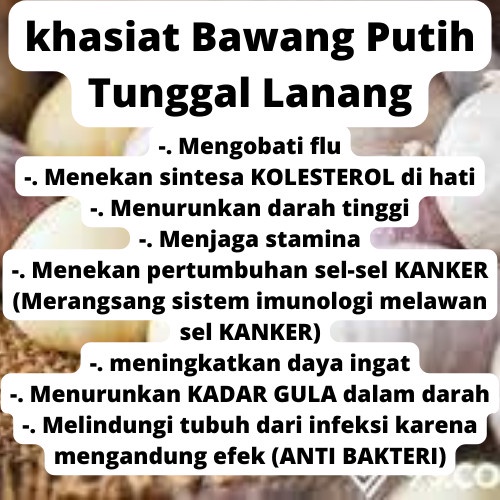 Bawang Putih Tunggal Lanang 1 Kg | Cocok untuk Madu