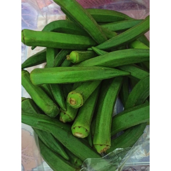 

Sayur Okra 250gram