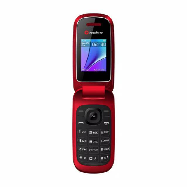 HP STRAWBERRY FLIP 1272-2