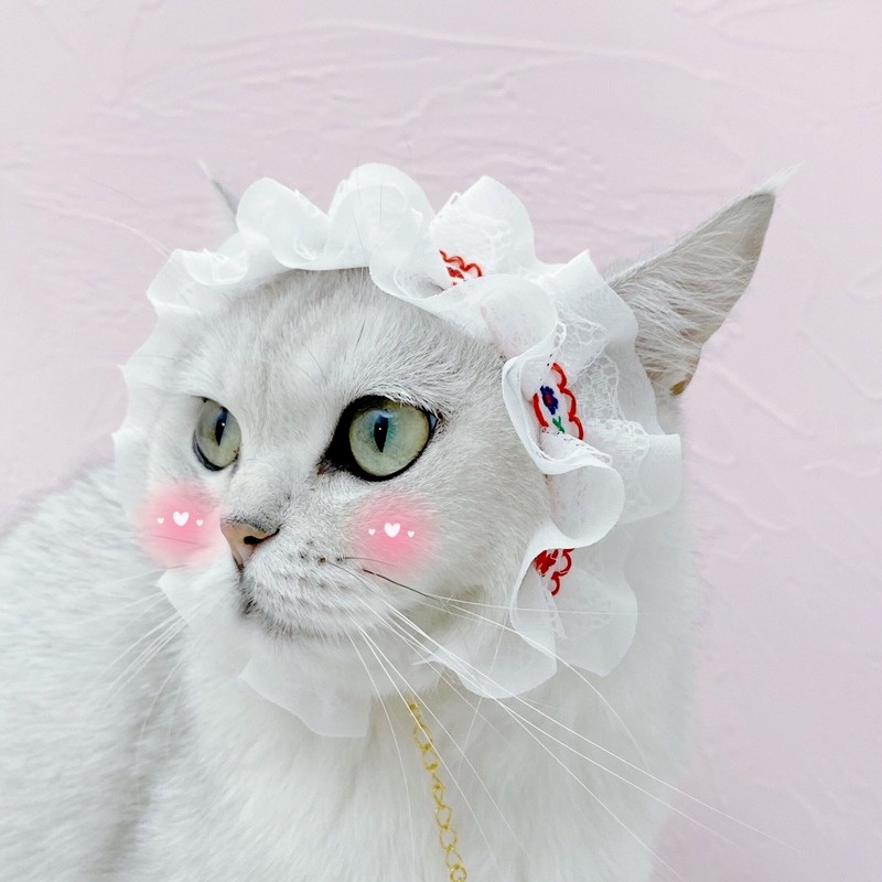 Yufei Kalung Anjingkucing Adjustable Bahan Lace Gaya Lolita Untuk Ulang Tahun