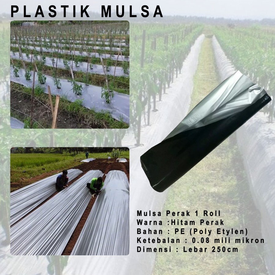 Plastik Mulsa Hitam Perak Tebal 0.08mm - Lebar 250cm pertanian sawah kebun tanah hitam perak packing cabe cabai kolam kuat ulet bedengan COD hidroponik grenhos green house atap pelindung uv ultra violet sungkup