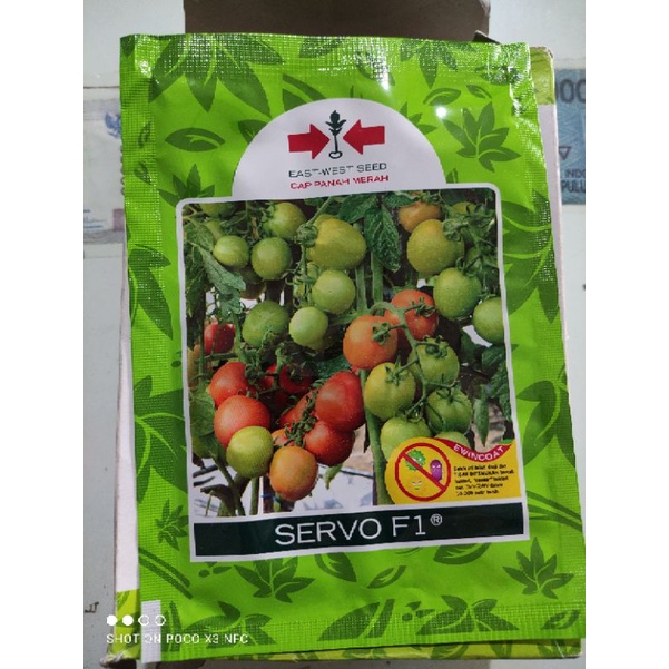 Bibit Tomat Servo F1 1750 btr Panah Merah