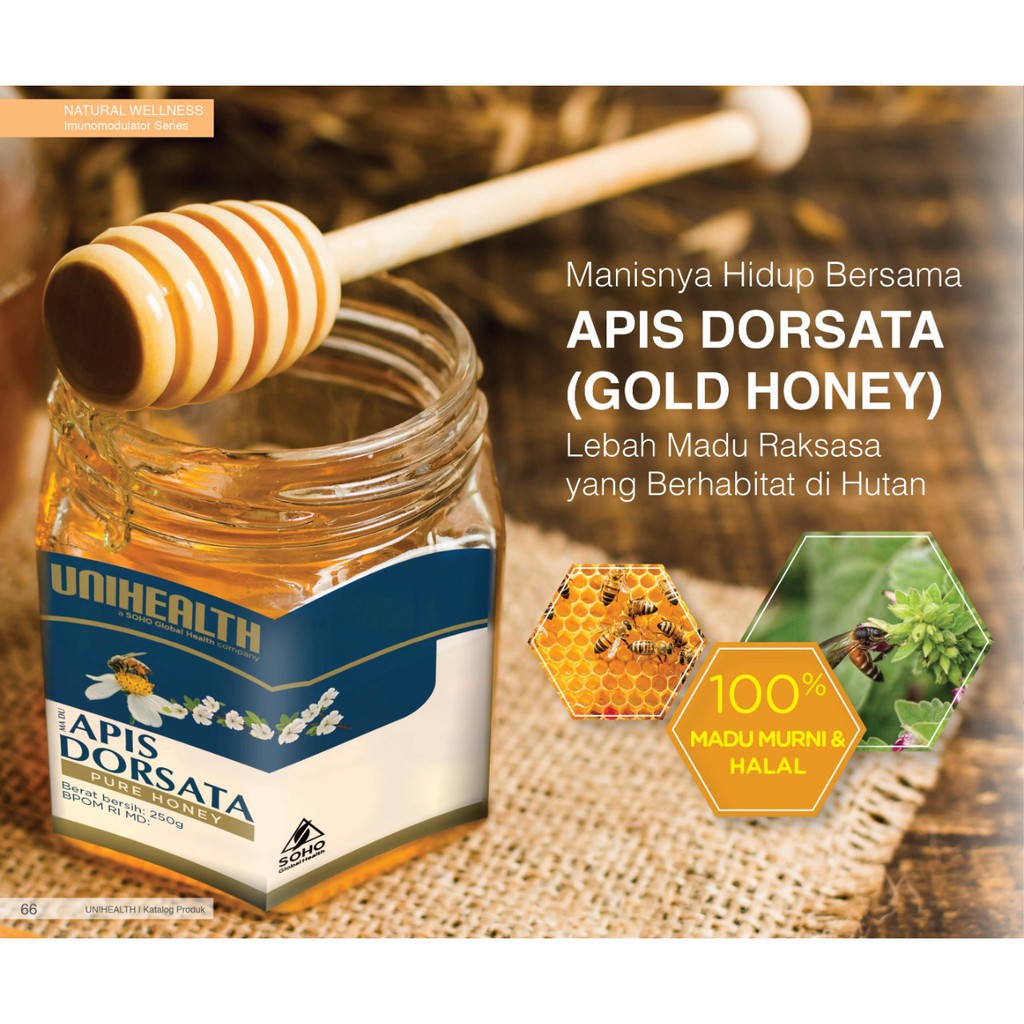 

Madu Apis Dorsata