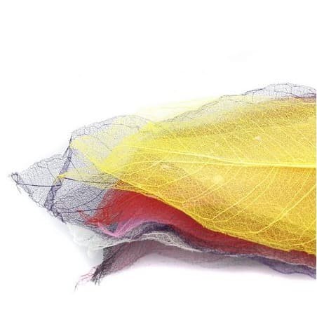 Colorful Dry Leaf Skeleton - Kerangka Daun Kering 4-6cm (10pcs)