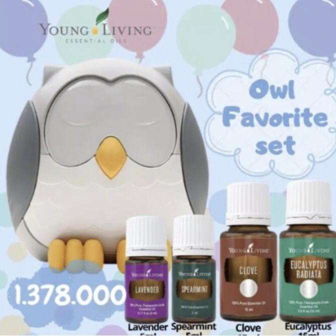 Owl Diffuser Young Living Paket 4 Oil Salesalewow