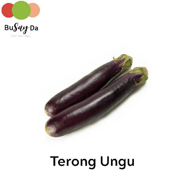 

Sayur Terong Ungu 500 gram segar | Toko buah-buahan sayuran segar berkualitas BUSAYDA