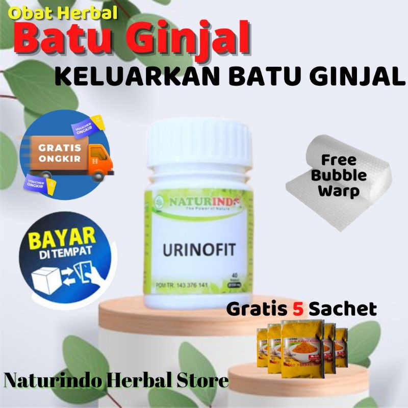 

Obat Herbal URINOFIT Naturindo Spesial Kesehatan Ginjal Kencing Tidak Lancar Prostat