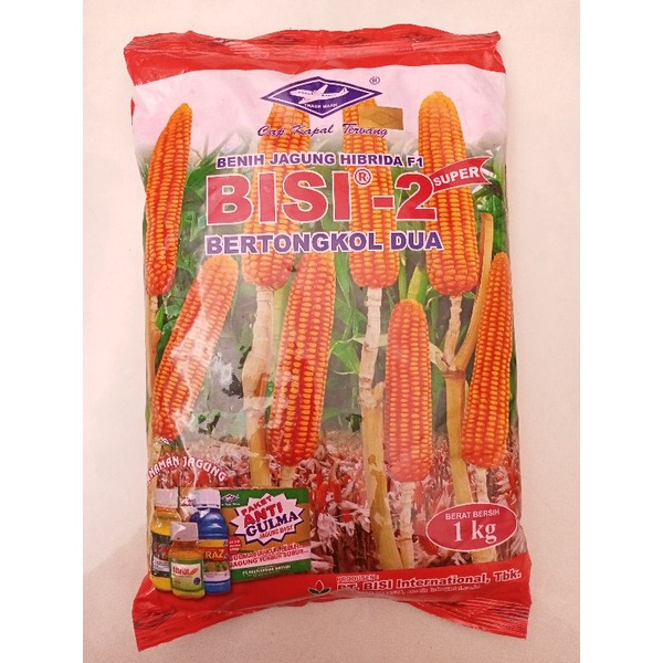Benih Jagung Bisi 2