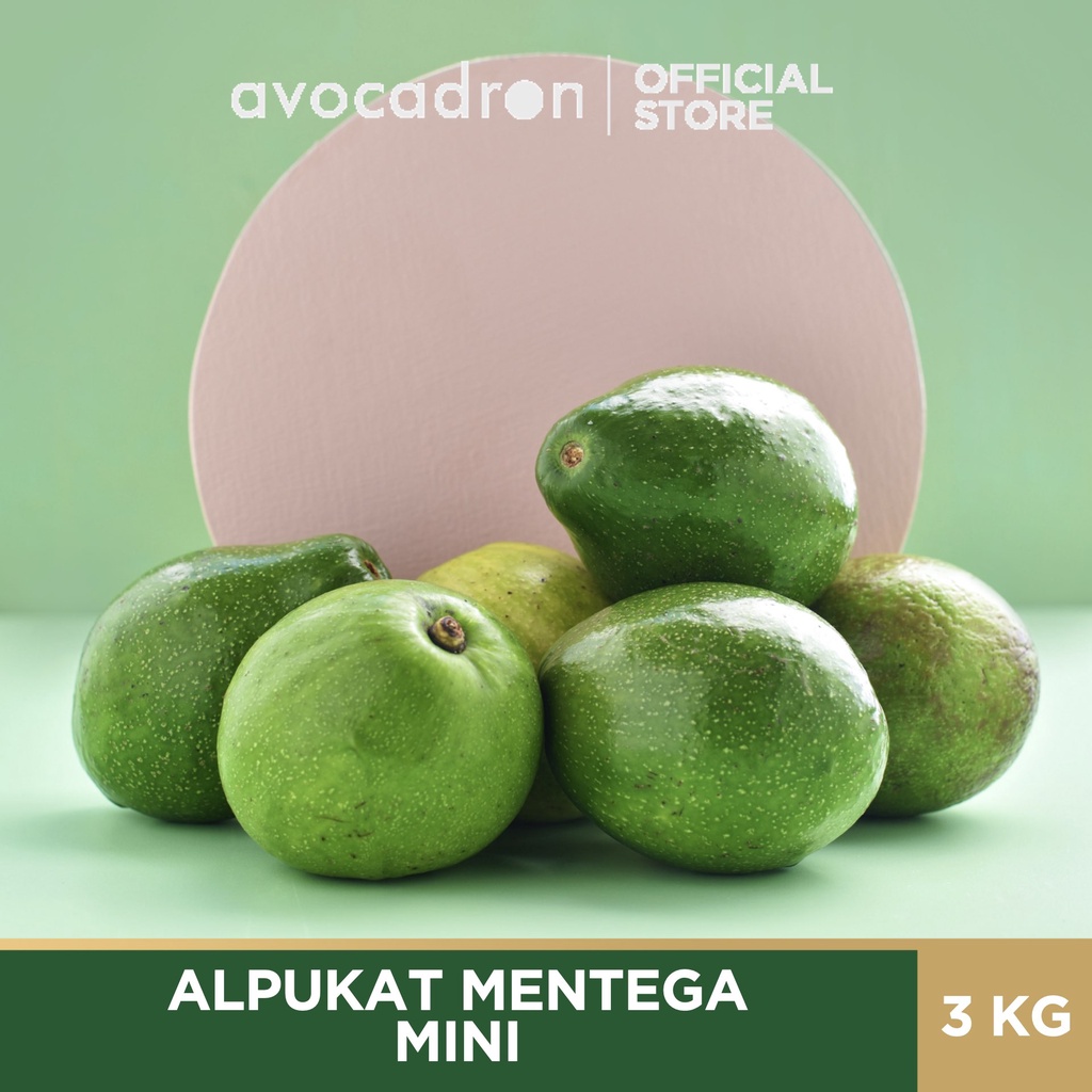 

Avocadron Alpukat Mentega Mini [Paket 3 Kg]