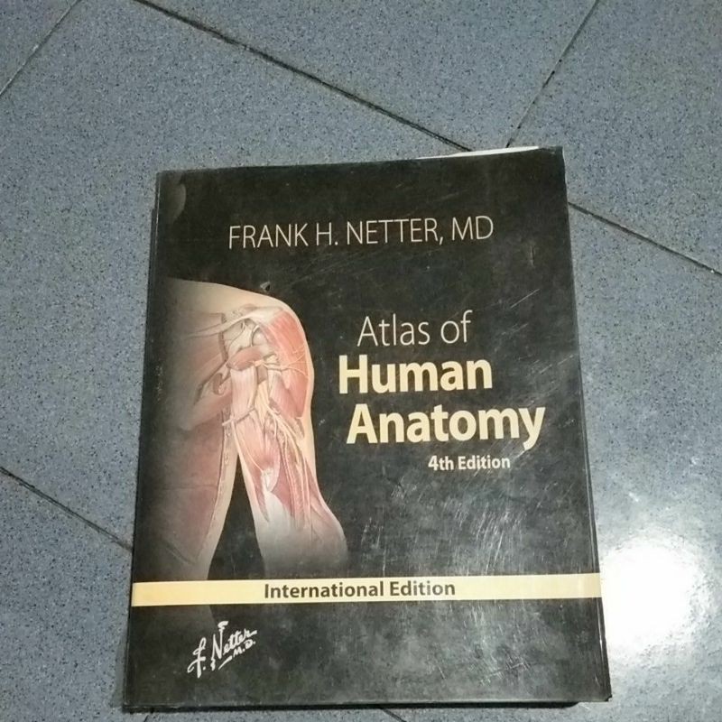 atlas anatomi netter edisi 4 preloved