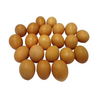 

Telur Ayam Kiloan Murah