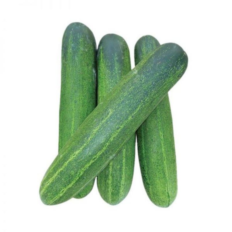 

TIMUN // TIMUN LALAP 1000 g