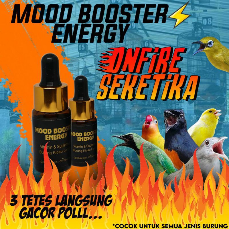 MOOD BOOSTER ENERGY VITAMIN & SUPLEMEN BURUNG KICAU