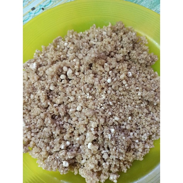 

beras singkong 1 kg