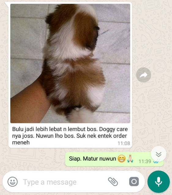 VITAMIN ANJING  BULU ANJING  NAFSU MAKAN PENGGEMUK ANJING PENUMBUH BULU ANJING OBAT RONTOK BULU ANJING
