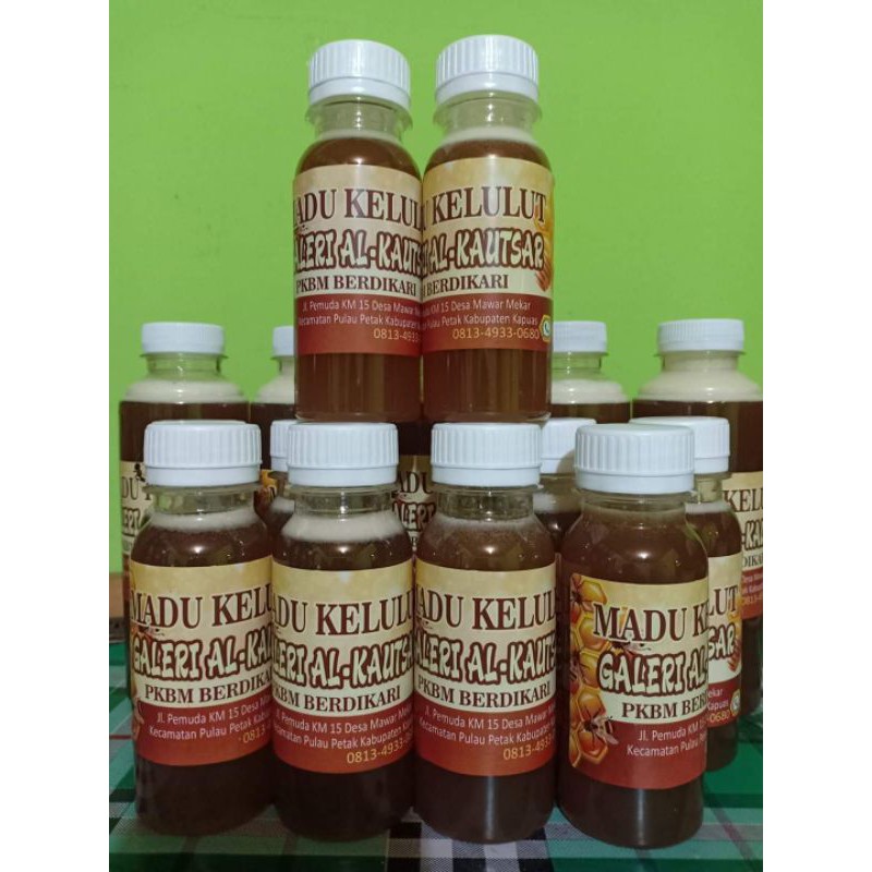 

madu kelulut