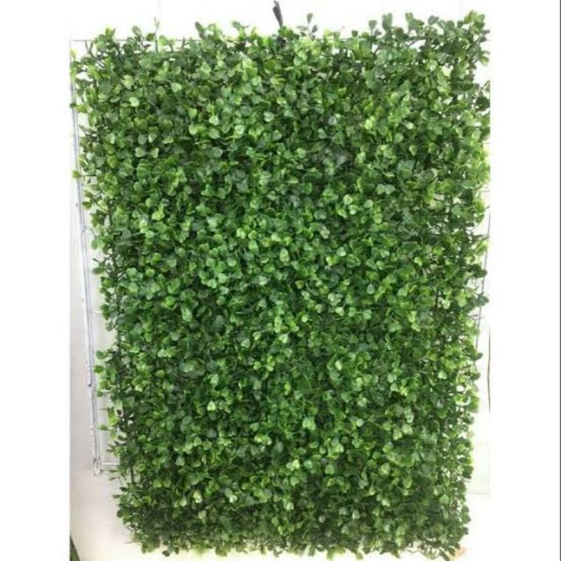 Tanaman hias rambat sintetis - Daun dolar rambat sintetis Artificial premium