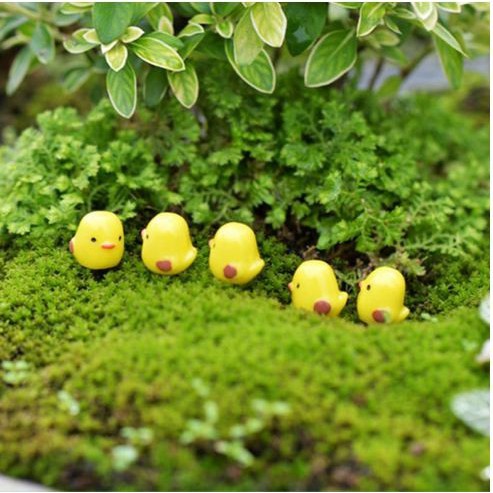 Miniatures - Terrariums - Fairy Garden Animal_Chicks (5pcs)